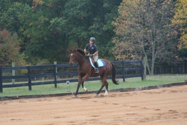 I believe this is an uphill canter.JPG