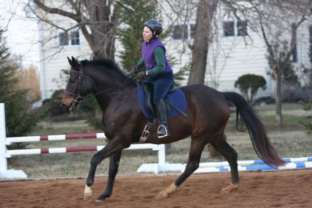 balis overstride at the canter makes me want to vomit.JPG